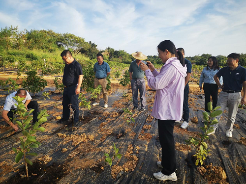 1df4d28baa3c5be5c4ee5c6a4e4b905c.png 揭陽農(nóng)墾拆舊復墾項目1.png