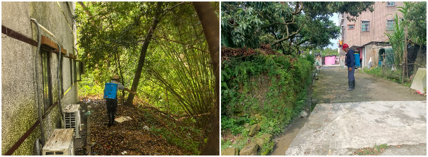 d18f1714a00d363869fc0931d45433ce.png 馬鞍山3.png