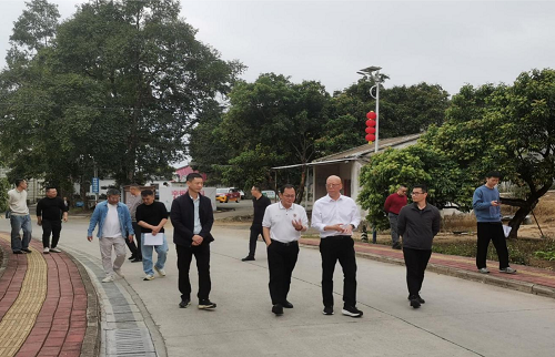 范利輝帶隊到卅嶺農場進行項目規(guī)劃建設調研.png